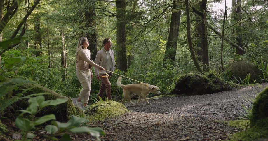 Man and woman hike with their dog on a gravel trail through the woods