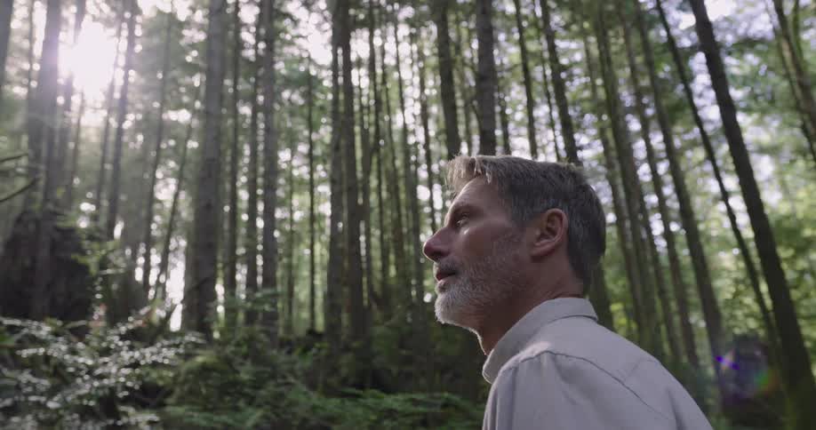 The man hikes through the woods