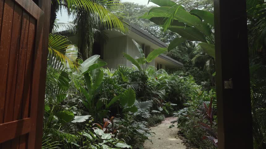 A lush tropical garden pathway lined with vibrant greenery leads to a modern house partially hidden among the plants