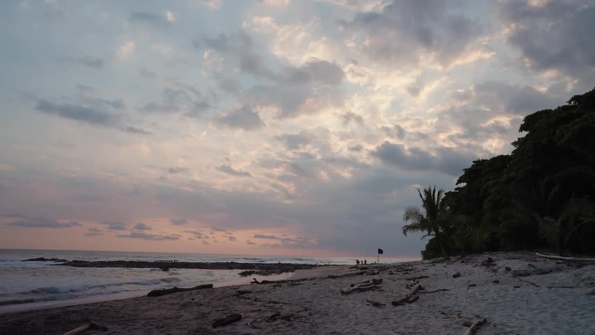 A serene beach at sunset shows driftwood scattered across the sand calm waves rolling in and palm trees silhouetted against colorful clouds