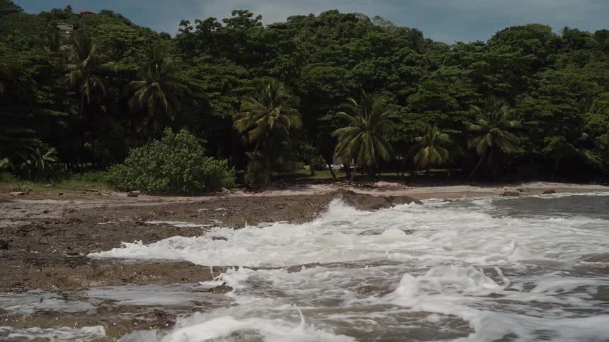 Ocean waves roll in and break against rocks on a shoreline next to a forest