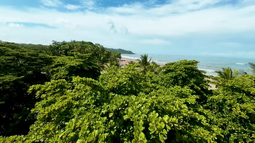 An aerial shot descends from above a forest revealing a sandy beach and a river mouth