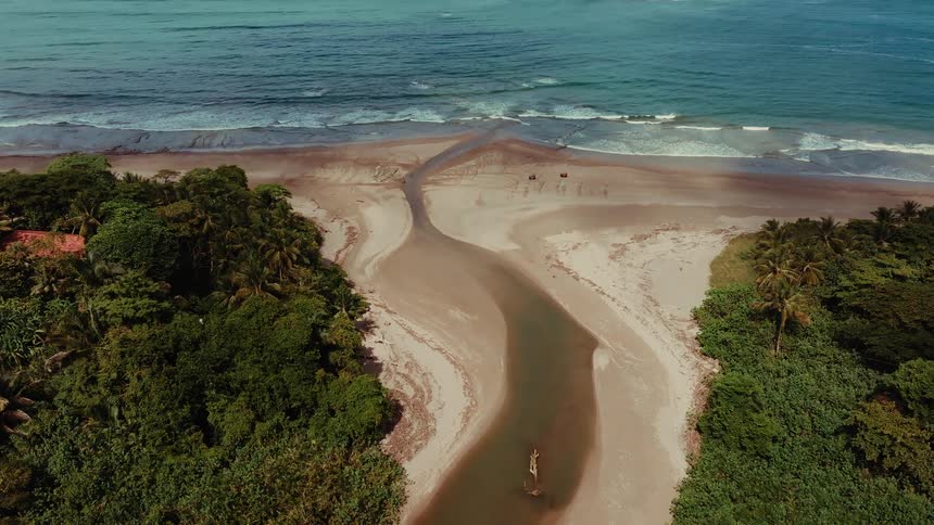 The video shows an aerial view of a river meeting the sea the river flows through a dense forest and a sandy beach before its water joins the waves of the ocean