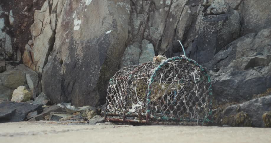 A cage is laid down near the rocks