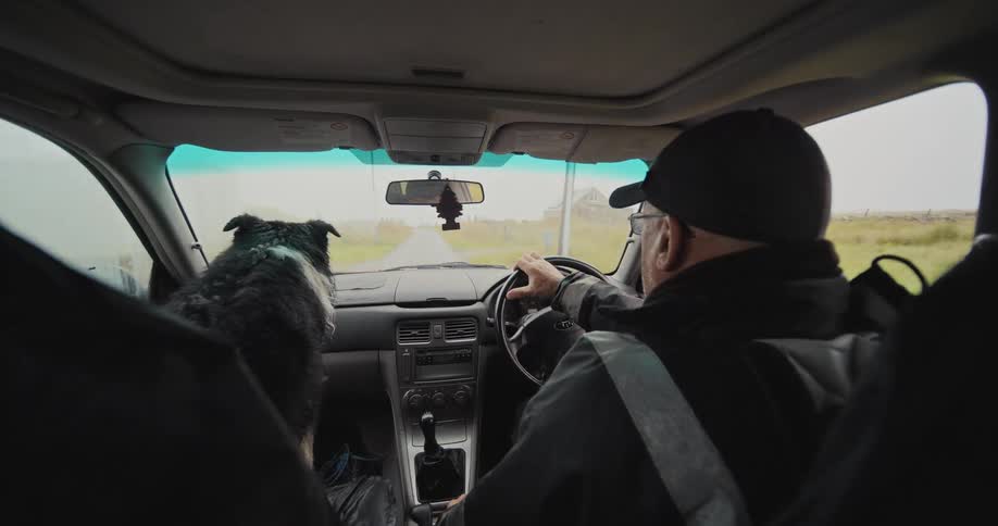 A man driving a car across a field road with a dog on the passenger seat as rain falls on the windshield and is wiped away by the wipers