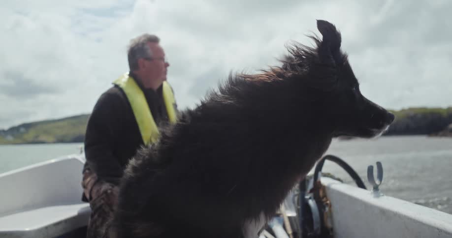 Dog on a moving boat with a man