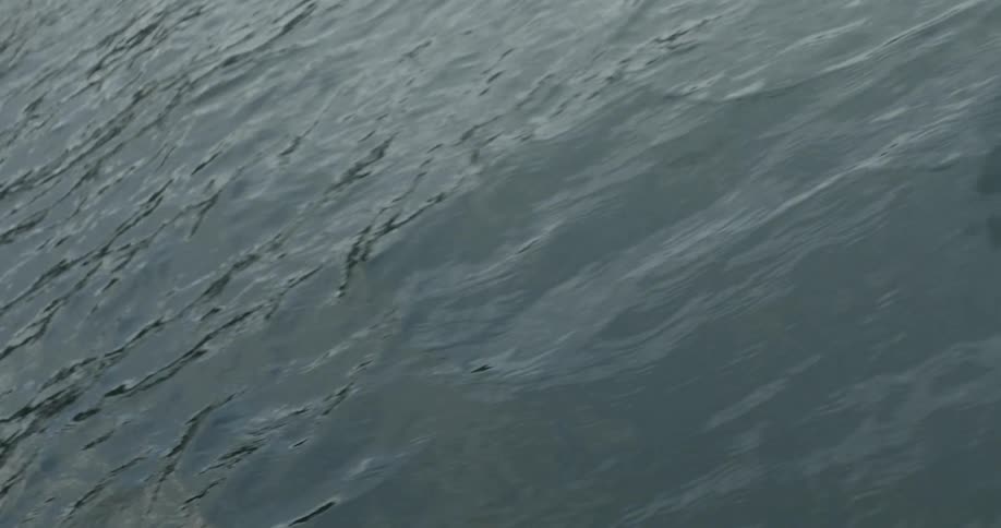 Moving view of the calm ocean