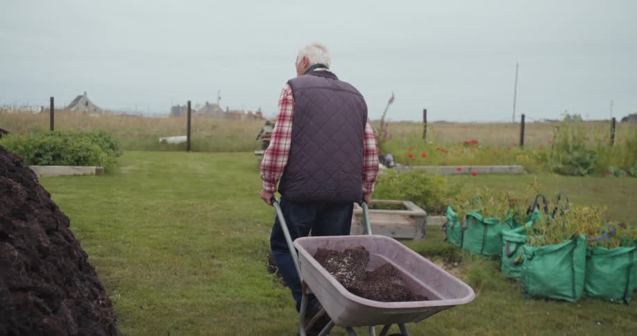 Elderly man carrying a hand cart with soil through a vegetable garden