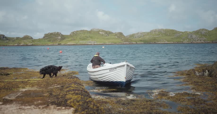 Man approaches seaweedcovered shore with boat and dog jumps out