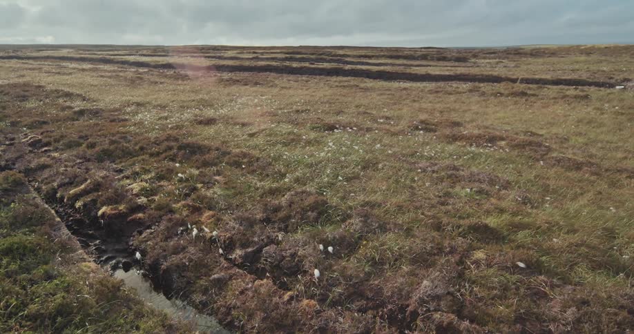 Peatland cut into strips in an open rural landscape