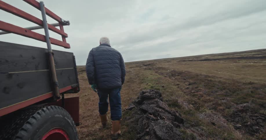 Man picks up peat blocks from a field and loads them onto a tractor on a farm