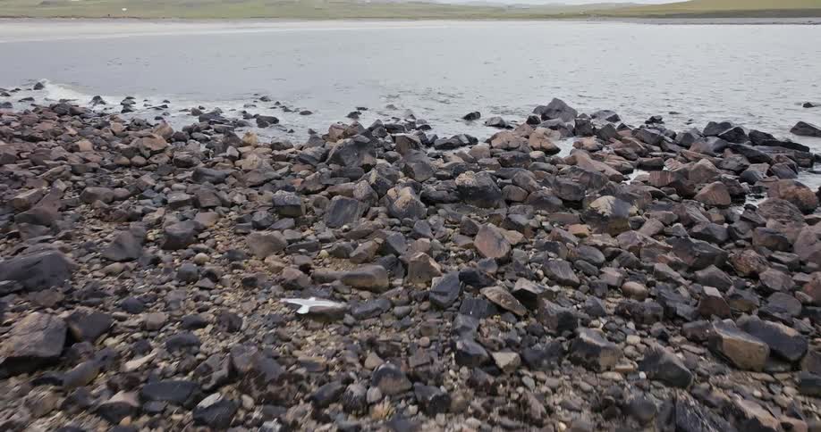 Aerial of a rocky seashore during daytime