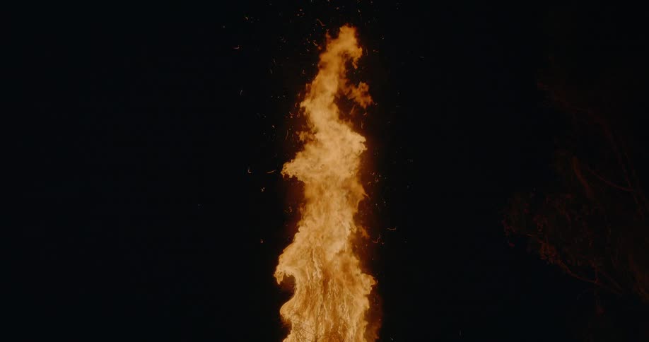 The tree is covered in flames at night