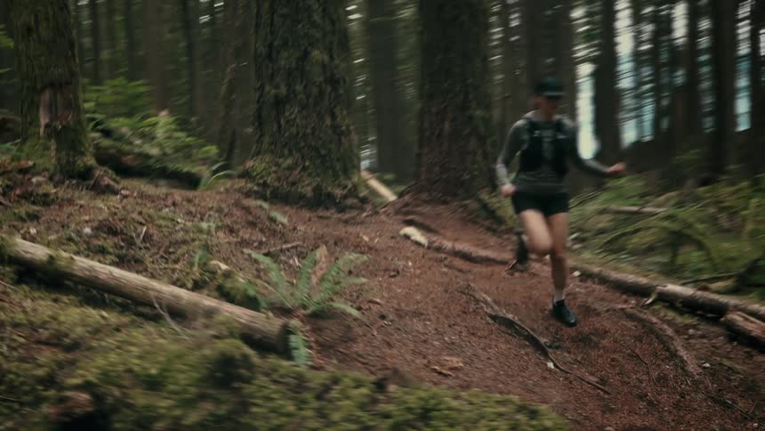 A wide angle shot shows a woman running quickly on a narrow trail through a forest of tall dense trees