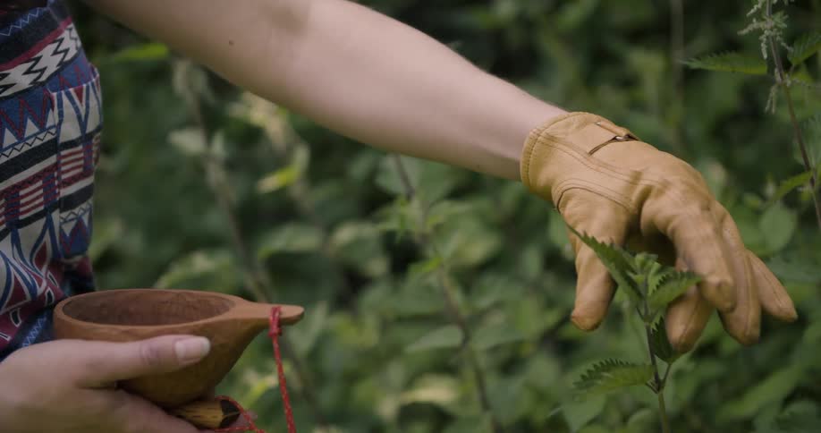Female gardener picking leaves in a garden at midday