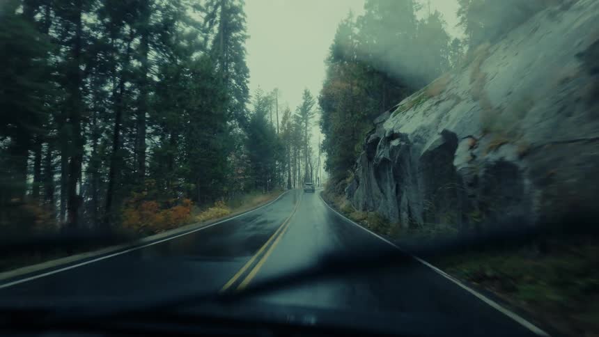 A camera records from inside a car driving on a wet road surrounded by trees and a rock wall