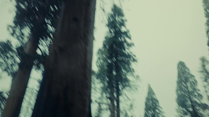 Cars drive on the winding road through the forest