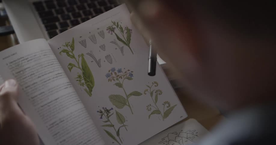Person holding a pen and leafing through a book