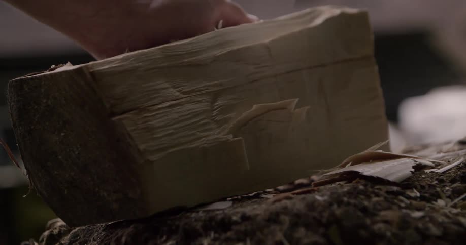 The man shaves wood chips off the log