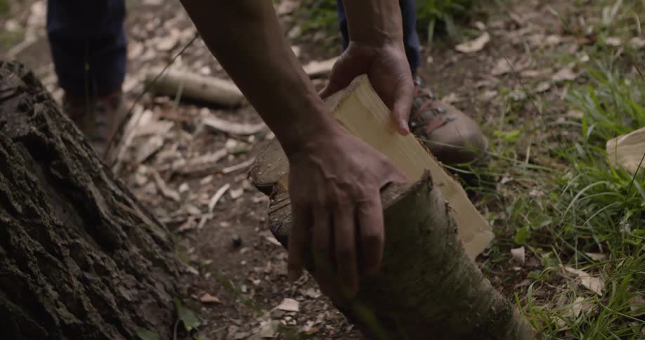 The man tears the log in half