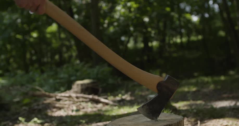 Axe chops firewood in an outdoor wooded setting