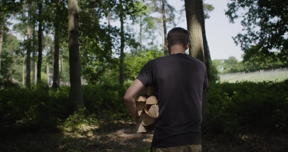 A man with his back to the camera carries a large armload of firewood through a sunny forest clearing