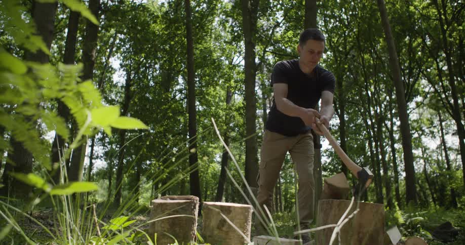A man is chopping wood with an axe in a forest clearing