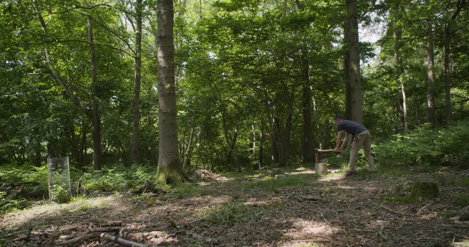 Man in a forest chopping wood