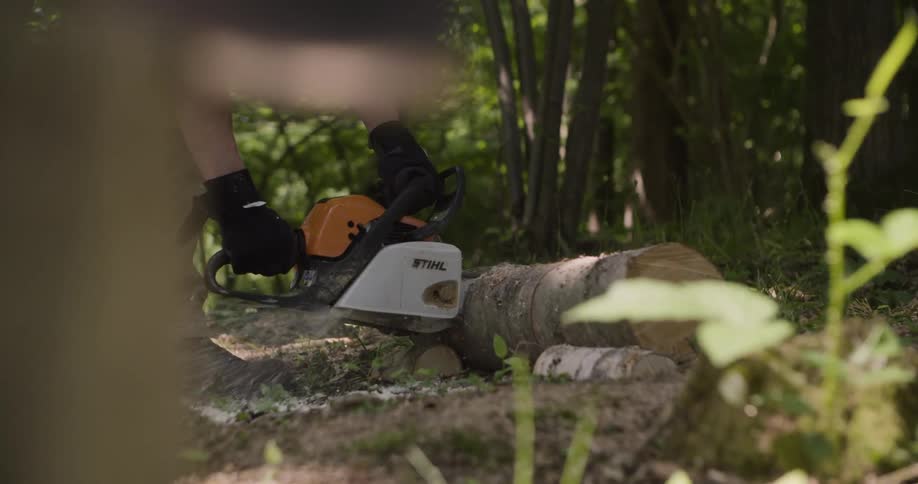 A person uses a chainsaw to cut a tree log in the forest