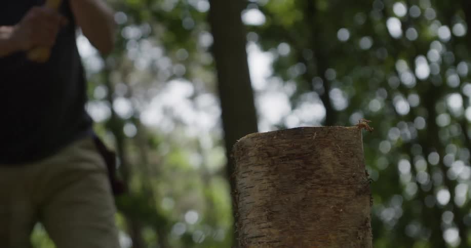 Person with an axe chopping wood
