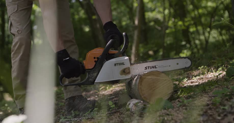 Man cutting a tree stump with a chainsaw in the forest at midday