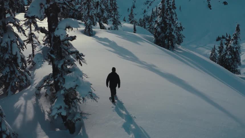 A person walks with snowshoes on a snowcovered slope surrounded by snowcovered trees under a sky with visible light