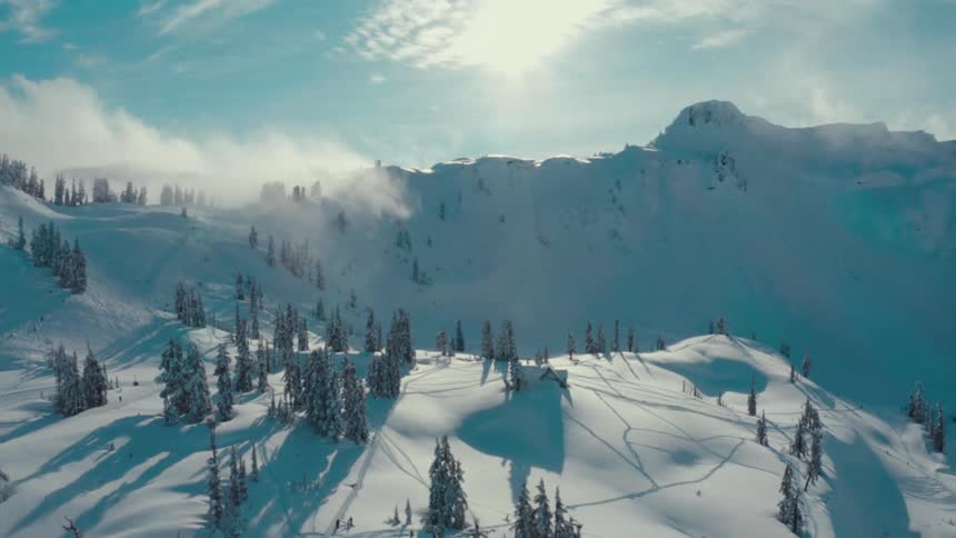 A beautiful wide view of a snowy mountain landscape with deep snow tall pine trees and tracks from skiers or snowboarders under a bright blue sky