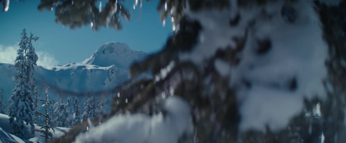 A snowy mountain with frosted trees beneath a clear sky