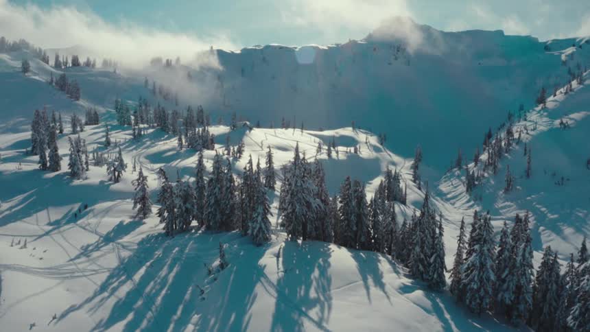 A beautiful wide view of a snowy mountain landscape with deep snow tall pine trees and tracks from skiers or snowboarders under a bright blue sky