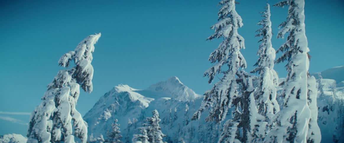 The mountain and trees are covered in snow