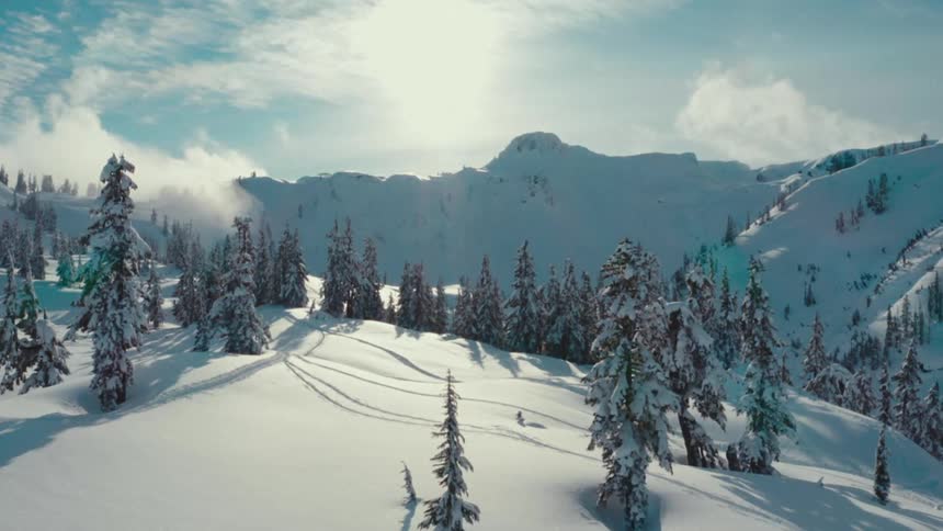 A drone shot of a beautiful snowy mountain landscape with deep snow tall pine trees and tracks from skiers or snowboarders