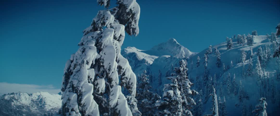 A camera moves past a tree covered with snow in a mountain landscape with more trees and a mountain peak in the distance under a blue sky