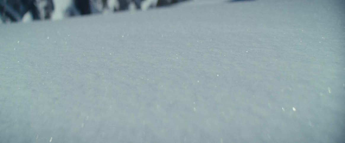The camera moves across the surface of the snow with the base of snowcovered trees in the distance