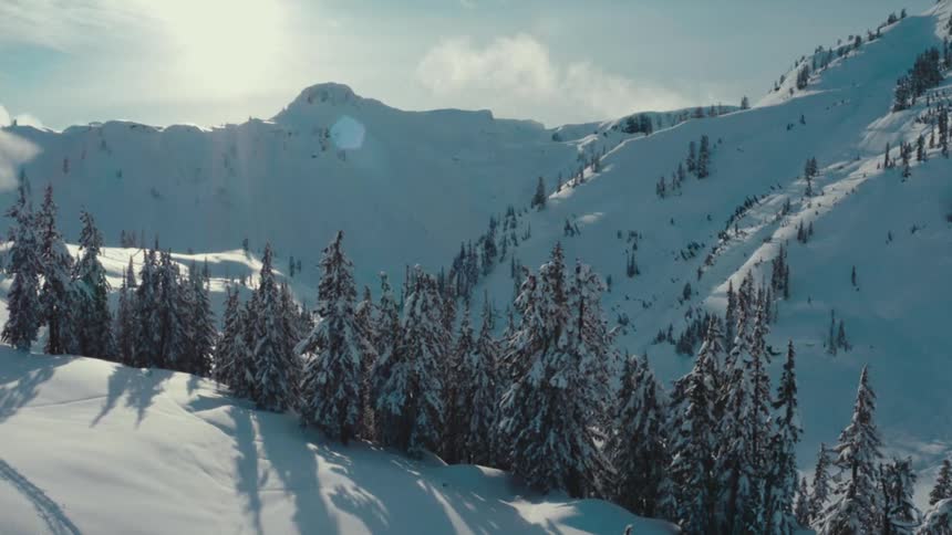 A mountain range covered in snow with a group of snowcovered trees in the foreground