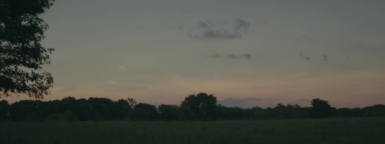 View of field and trees at sunset