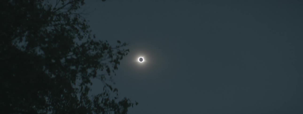 A view of a solar eclipse from the ground