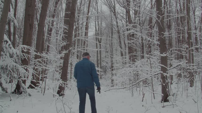 The man walks into the frosted over forest