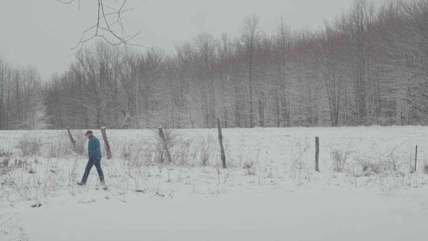A person walks across a field of snow with a fence and a line of bare trees in the background