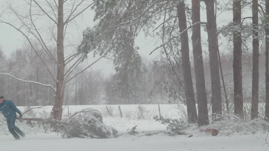The man drags away a fallen tree branch