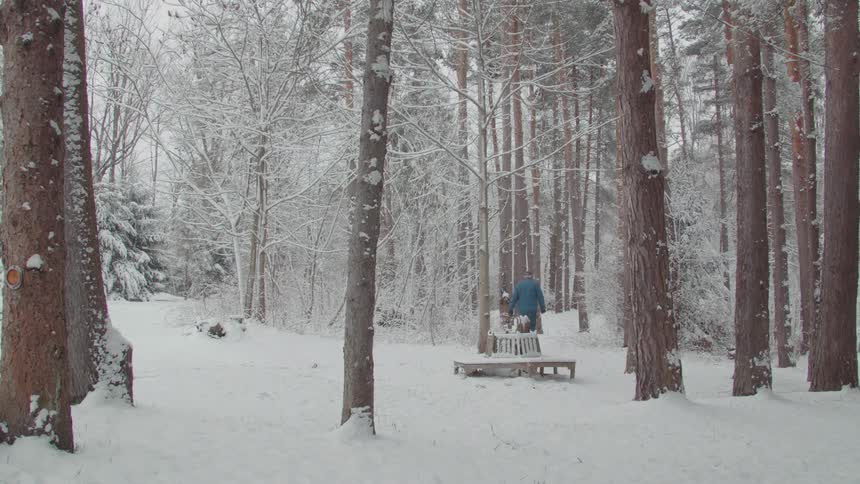 A person walks on snow through a forest with trees