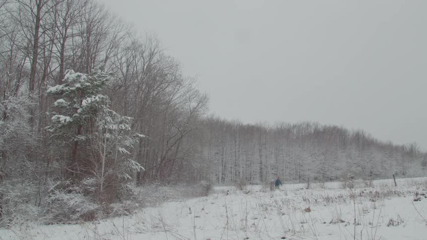 A person in a blue jacket walks through a snowy field next to a snow covered forest under a gray sky