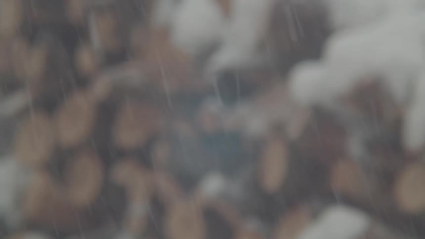 A shot of an outdoor setting where snow is falling and theres some wooden logs covered in snow on the blurry background