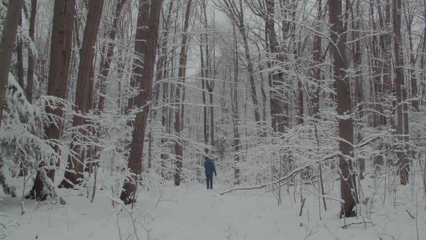 The man walks into the fog filled forest