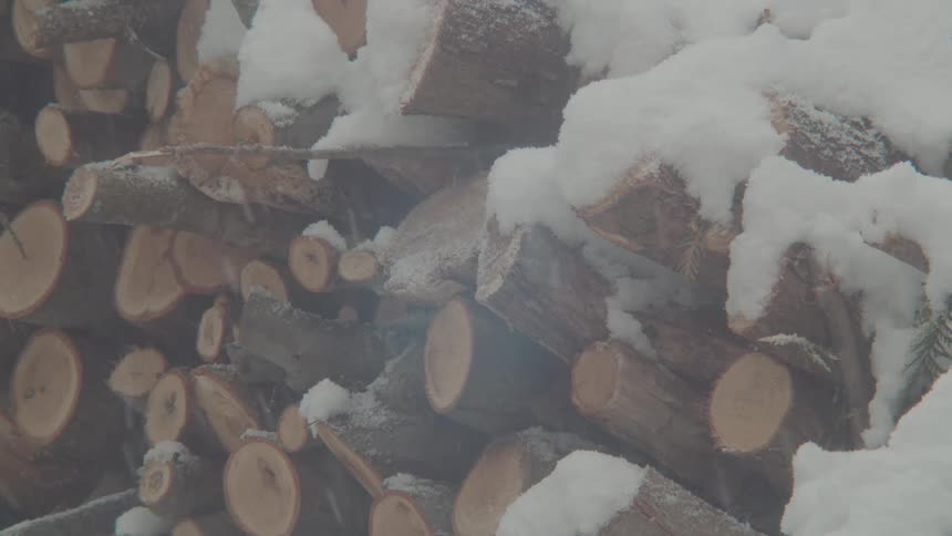 Snow falling on a woodpile outdoors during day time